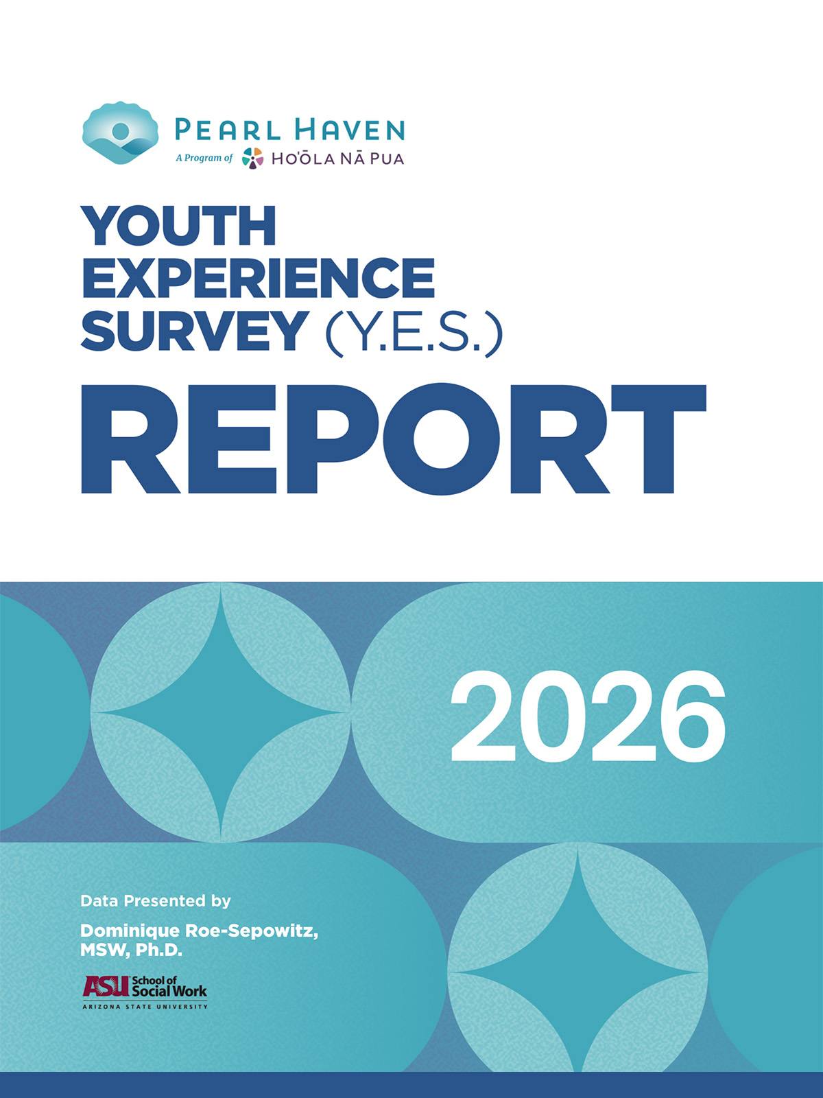 Cover image of the Youth Experience Survey document.